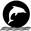 Dolphin dolphins