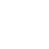 Dolphin dolphins