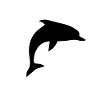 Dolphin dolphins