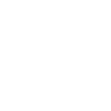Dolphin dolphins