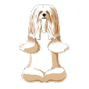 Méditant chien Lhasa Apso