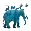 Ark with animals