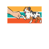 Best Australian Shepherd Dad Ever