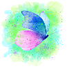 Butterfly butterfly