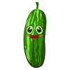 Cucumber pickle