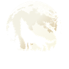 Wolf in the moonlight gift