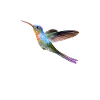 Farbenfroher Kolibri im Flug