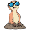 Suricate avec des lunettes