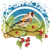 Bunter Vogel