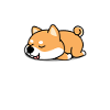 Shiba Inu