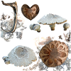 Fungi