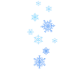 Snow stars, snowflakes