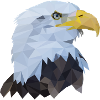 Adlerkopf Polygon Vogel