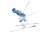Skis de ski