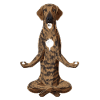 Meditating Plott Hound Dog