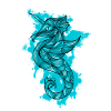 hippocampe