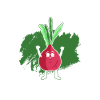 Beetroot saying