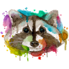 racoon