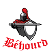 combattant de béhourd