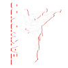 Teakwondo martial arts
