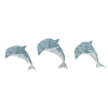Three jumping dolphins