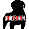 Boerboel sud-africain