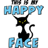 Cat cats funny