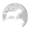 Mastiff moonlight moon silhouette