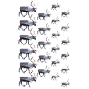 Reindeer