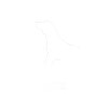 Chiens chevaux cavalier disant cadeau