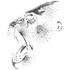 Gorilla attack