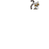 Lemur