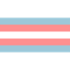 Trans flag