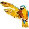 Parrot polygon bird
