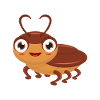 cockroach