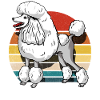 Retro Poodle