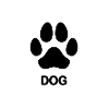 dog's paw