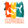 Capoeira atlethical brazil martial art