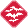 Beware of flying bat