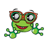 Geek Frog