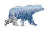 Umweltschutz Protect Wildlife Preserve Bär Klima