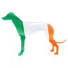 Greyhound Silhouette Irish Pride