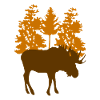 Moose