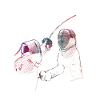 fencing sport art