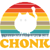 Chonk black cat