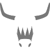 highlander cow