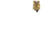 Quokka