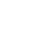 Forest with its trees