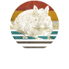 Degu degoes knaagdier jaren 80 retro vintage