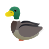 Duck cute kids